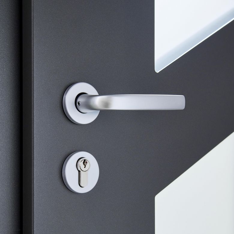 Porte d'entrée Angele Aluminium poignée Iris -Lapeyre