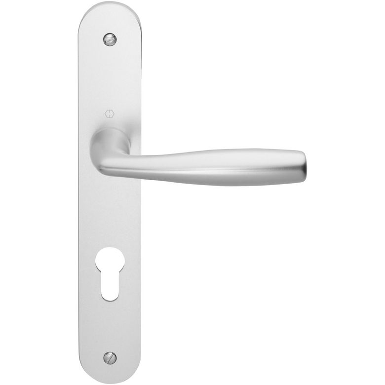 Poignée de porte VITORIA à plaque