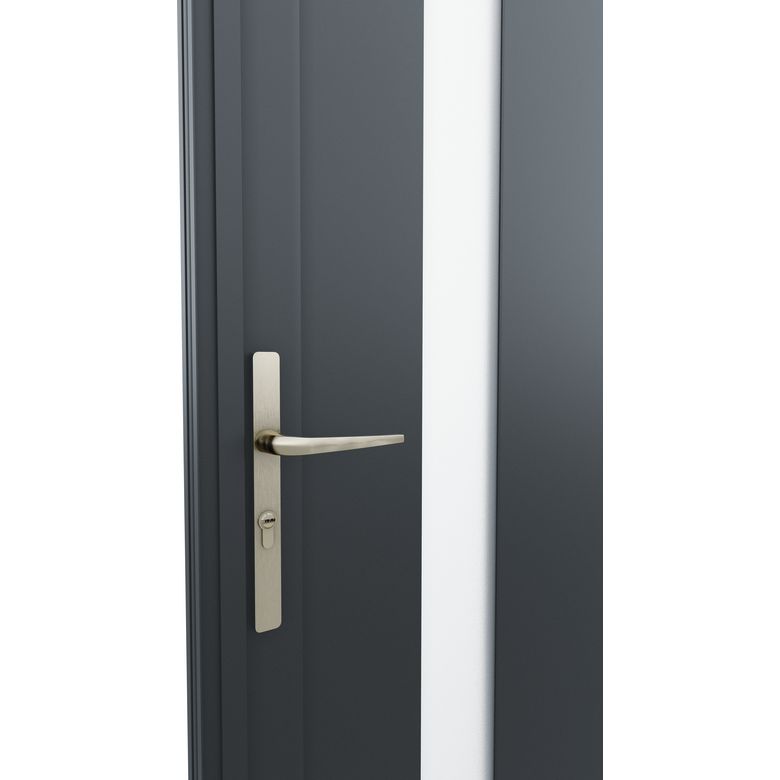 Porte d'entrée * AUDA aluminium 215 x 90-Lapeyre