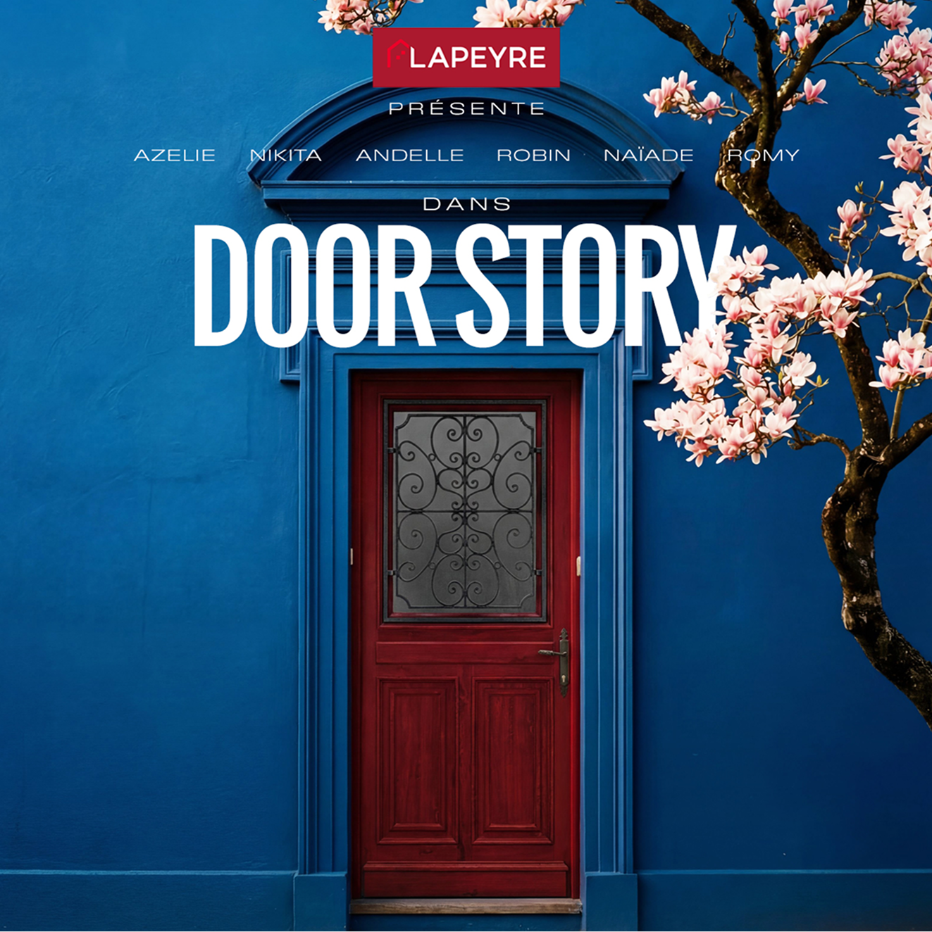 Podcast Door Story